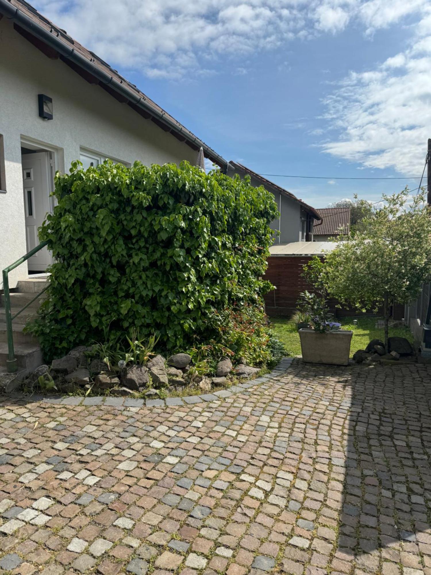 Pelini - 2 Szentendre Exterior foto